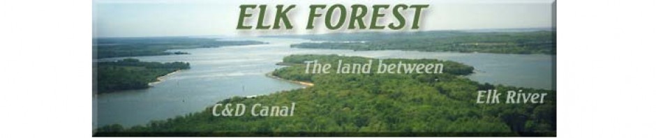 Aerial view of the Elk Forest peninsula between the Elk River and the C&D Canal